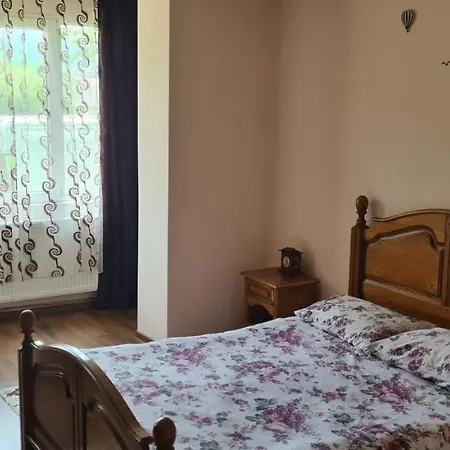 Annymar Apartment Gura Humorului